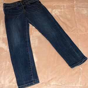 Banana Republic Skinny Fit Jeans 4 Petite